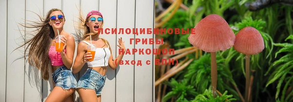 PSILOCYBIN Гусиноозёрск
