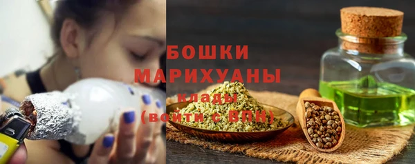 PSILOCYBIN Гусиноозёрск