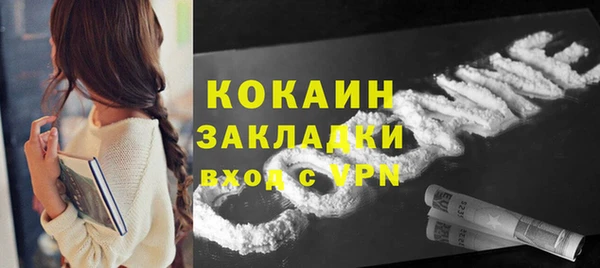 2c-b Гусев