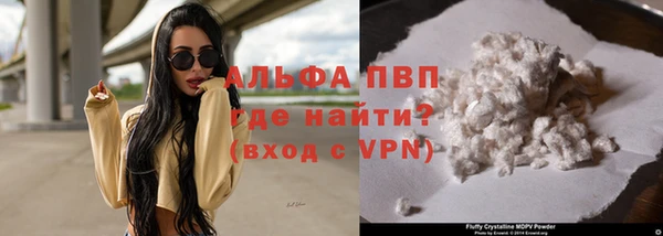 PSILOCYBIN Гусиноозёрск