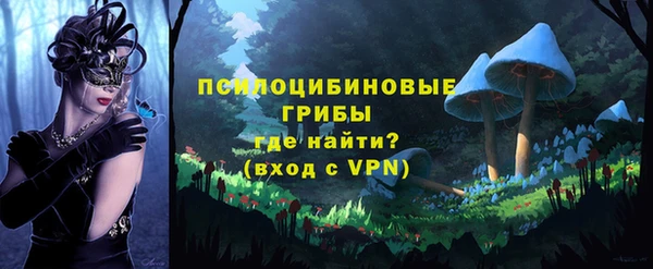 PSILOCYBIN Гусиноозёрск