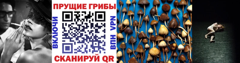 Псилоцибиновые грибы Magic Shrooms  Зима 