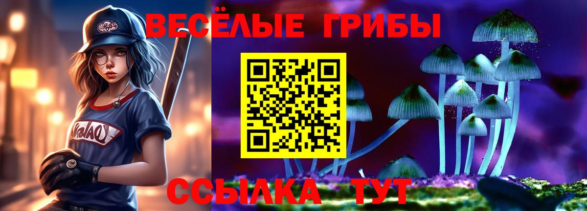 купить  цена  Вход с VPN  Зима  Галлюциногенные грибы мухоморы 